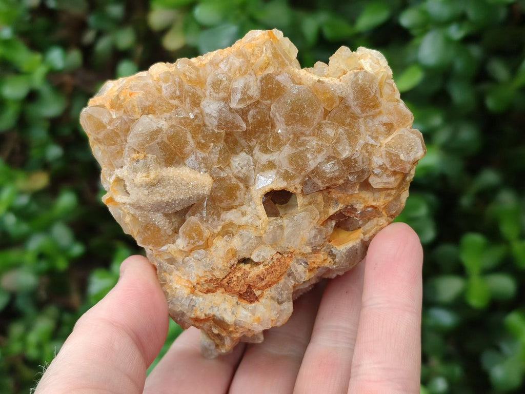 Natural Golden Limonite Quartz Clusters x 12 From Mwinilunga, Zambia - Toprock Gemstones and Minerals 