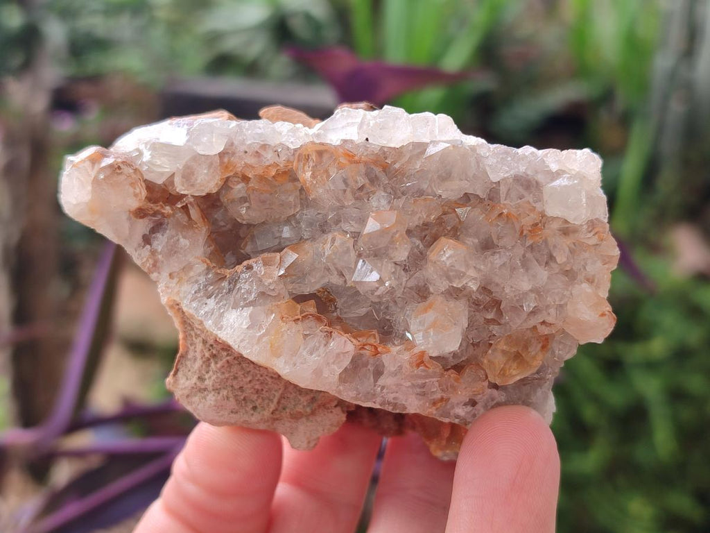 Natural Golden Limonite Quartz Clusters x 12 From Mwinilunga, Zambia - Toprock Gemstones and Minerals 