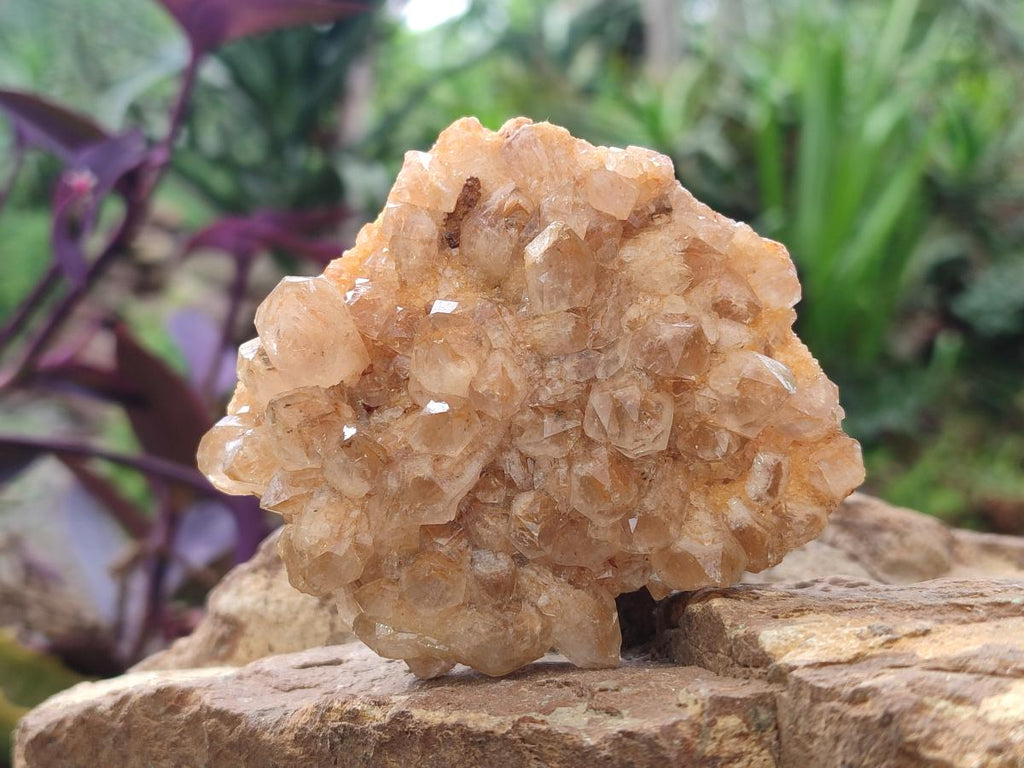 Natural Golden Limonite Quartz Clusters x 12 From Mwinilunga, Zambia - Toprock Gemstones and Minerals 