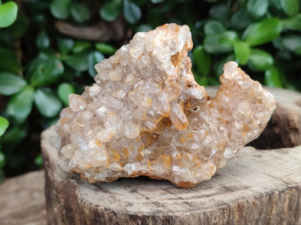 Natural Golden Limonite Quartz Clusters x 12 From Mwinilunga, Zambia - Toprock Gemstones and Minerals 