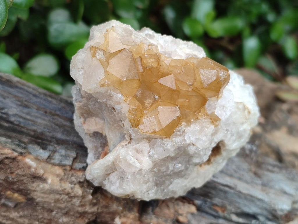 Natural Golden Limonite Quartz Clusters x 12 From Mwinilunga, Zambia - Toprock Gemstones and Minerals 