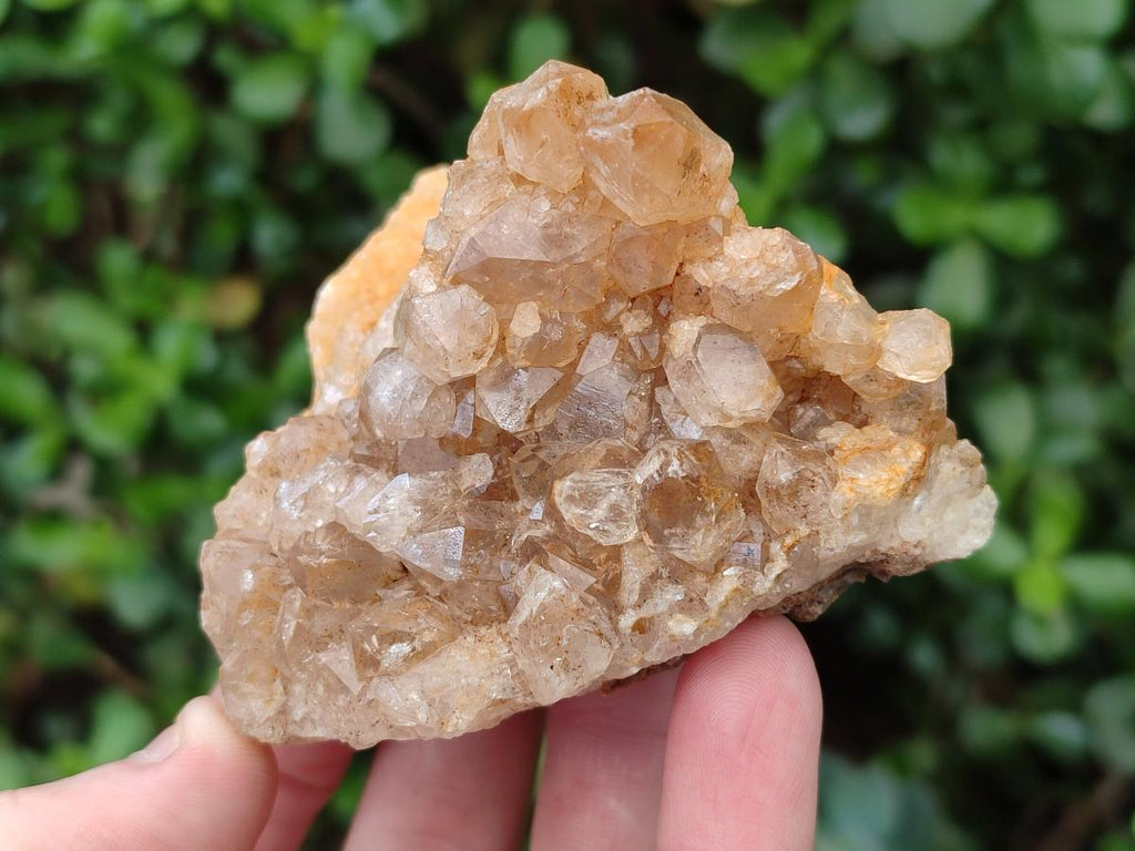 Natural Golden Limonite Quartz Clusters x 12 From Mwinilunga, Zambia - Toprock Gemstones and Minerals 