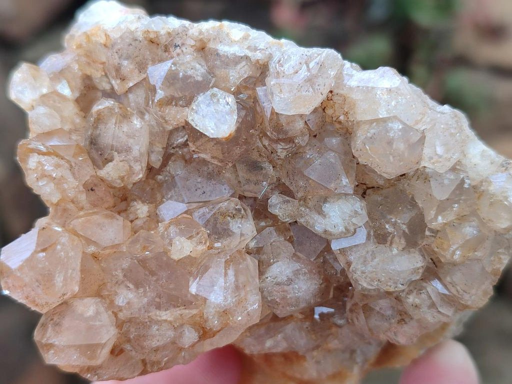Natural Golden Limonite Quartz Clusters x 12 From Mwinilunga, Zambia - Toprock Gemstones and Minerals 