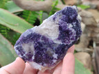 Polished One Side Lithium Silver Leaf Lepidolite Specimens x 12 From Zimbabwe - Toprock Gemstones and Minerals 