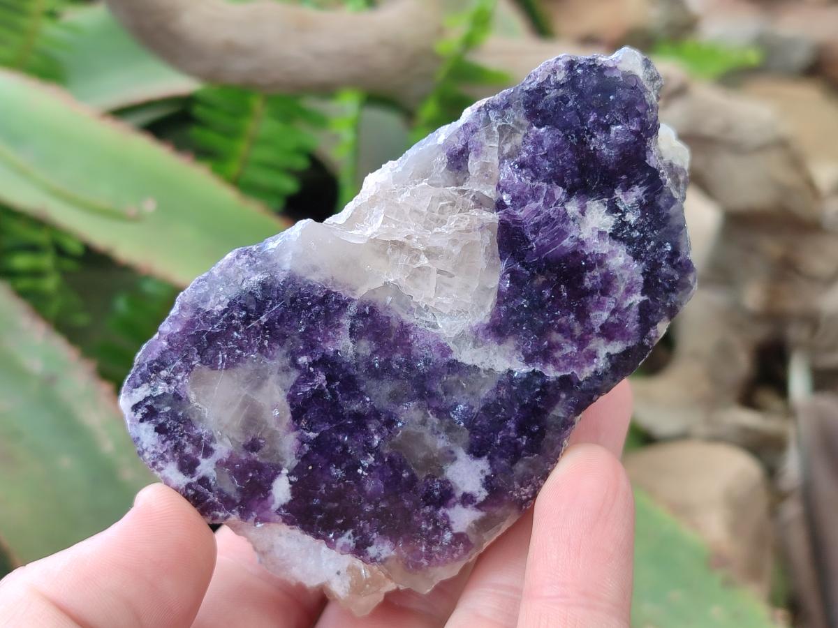 Polished One Side Lithium Silver Leaf Lepidolite Specimens x 12 From Zimbabwe - Toprock Gemstones and Minerals 