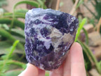 Polished One Side Lithium Silver Leaf Lepidolite Specimens x 12 From Zimbabwe - Toprock Gemstones and Minerals 