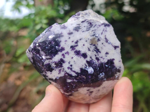 Polished One Side Lithium Silver Leaf Lepidolite Specimens x 12 From Zimbabwe - Toprock Gemstones and Minerals 