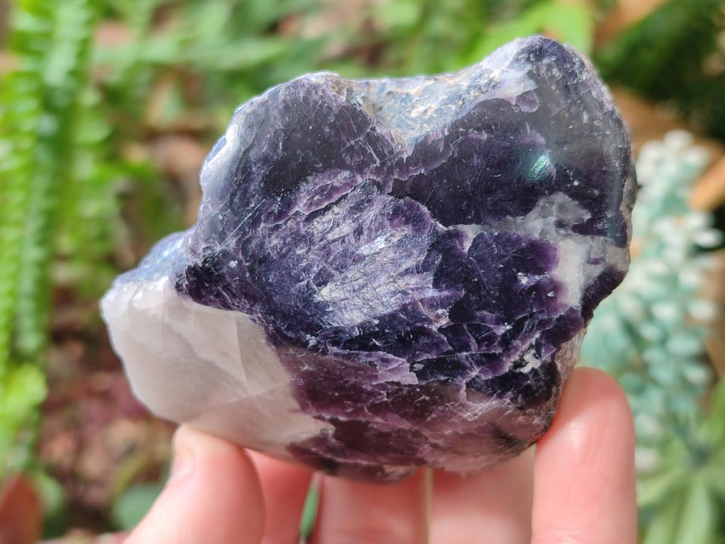 Polished One Side Lithium Silver Leaf Lepidolite Specimens x 12 From Zimbabwe - Toprock Gemstones and Minerals 
