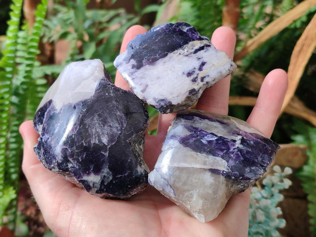 Polished One Side Lithium Silver Leaf Lepidolite Specimens x 12 From Zimbabwe - Toprock Gemstones and Minerals 