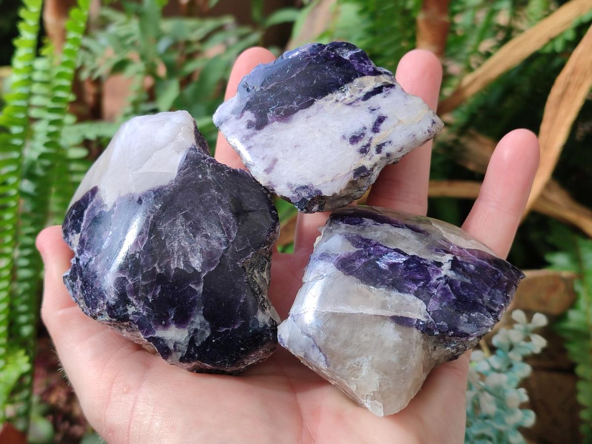 Polished One Side Lithium Silver Leaf Lepidolite Specimens x 12 From Zimbabwe - Toprock Gemstones and Minerals 