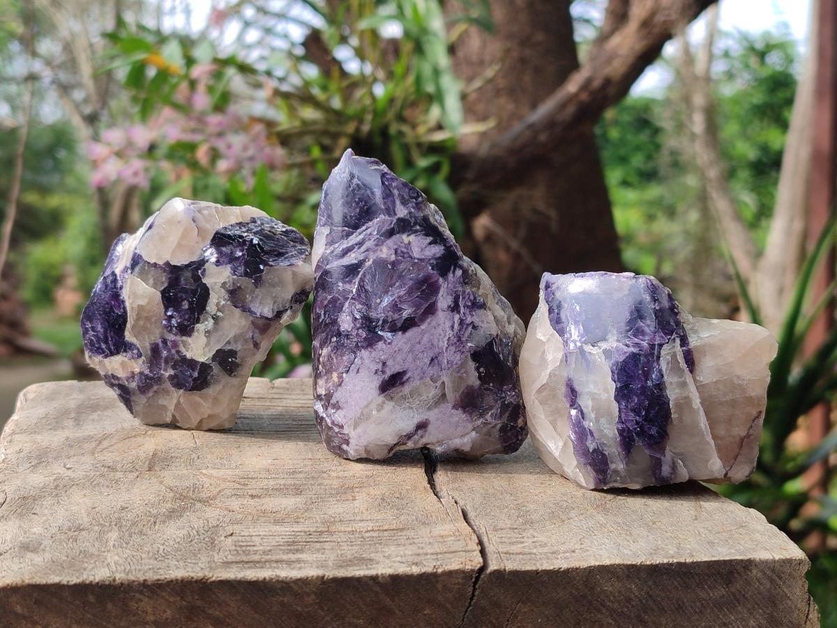 Polished One Side Lithium Silver Leaf Lepidolite Specimens x 12 From Zimbabwe - Toprock Gemstones and Minerals 