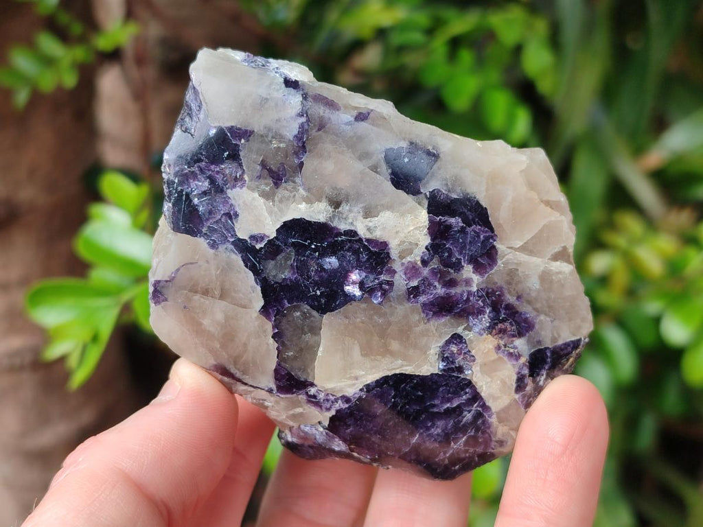 Polished One Side Lithium Silver Leaf Lepidolite Specimens x 12 From Zimbabwe - Toprock Gemstones and Minerals 