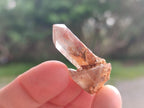 Natural Red Hematoid Quartz Crystals x 70 From Karoi, Zimbabwe - Toprock Gemstones and Minerals 