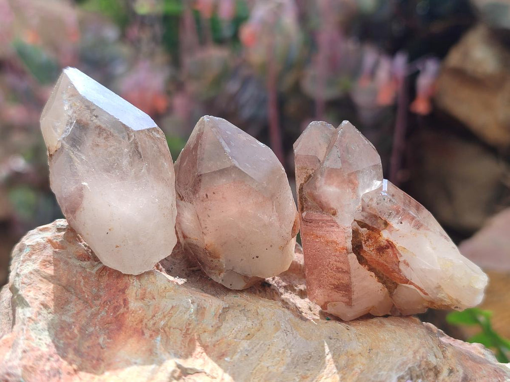 Natural Red Hematoid Quartz Crystals x 70 From Karoi, Zimbabwe - Toprock Gemstones and Minerals 