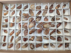 Natural Red Hematoid Quartz Crystals x 70 From Karoi, Zimbabwe - Toprock Gemstones and Minerals 