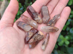 Natural Red Hematoid Quartz Crystals x 70 From Karoi, Zimbabwe - Toprock Gemstones and Minerals 