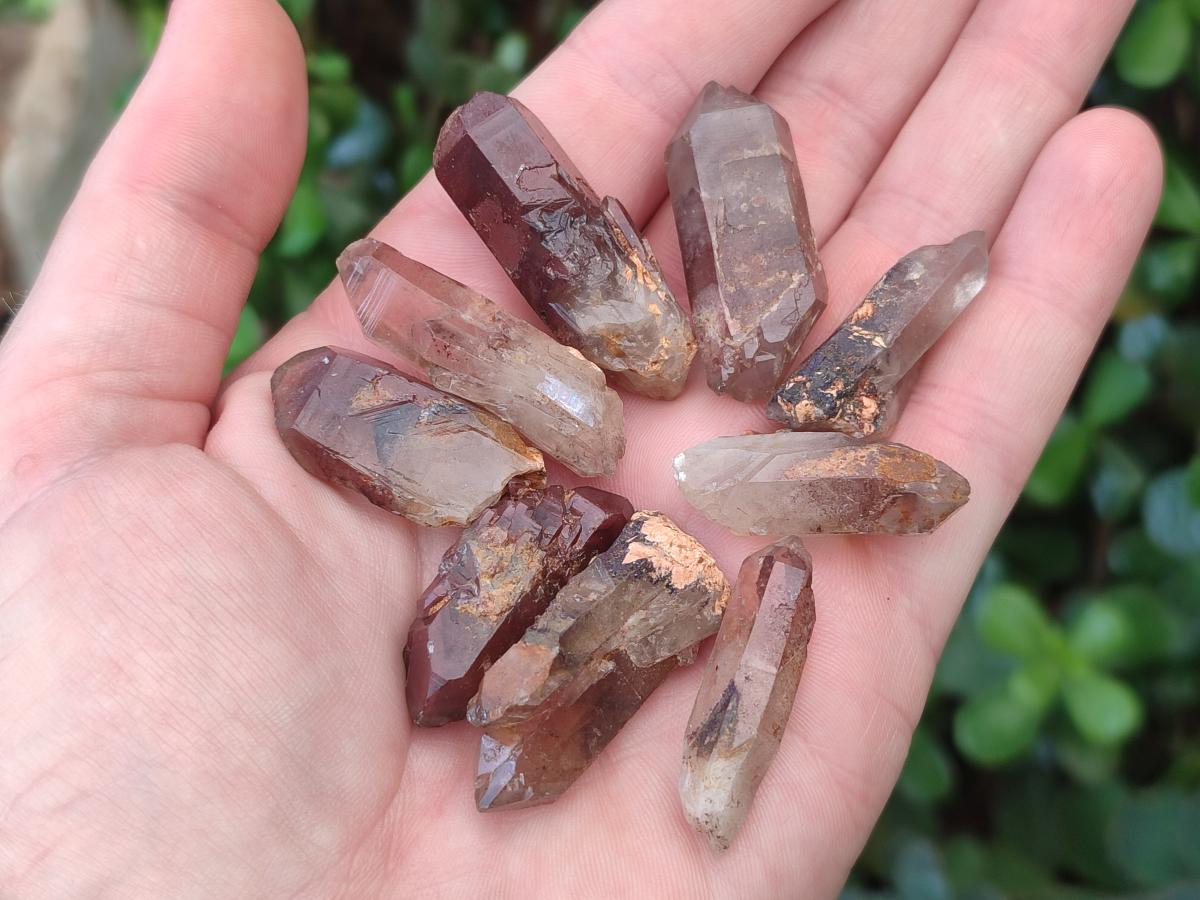 Natural Red Hematoid Quartz Crystals x 70 From Karoi, Zimbabwe - Toprock Gemstones and Minerals 