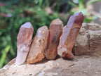 Natural Red Hematoid Quartz Crystals x 70 From Karoi, Zimbabwe - Toprock Gemstones and Minerals 
