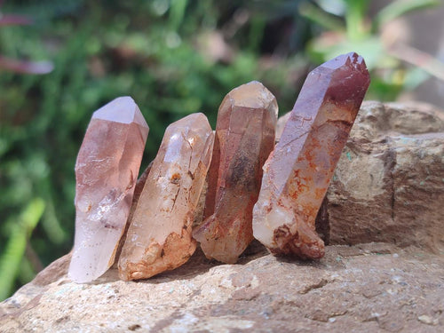 Natural Red Hematoid Quartz Crystals x 70 From Karoi, Zimbabwe - Toprock Gemstones and Minerals 