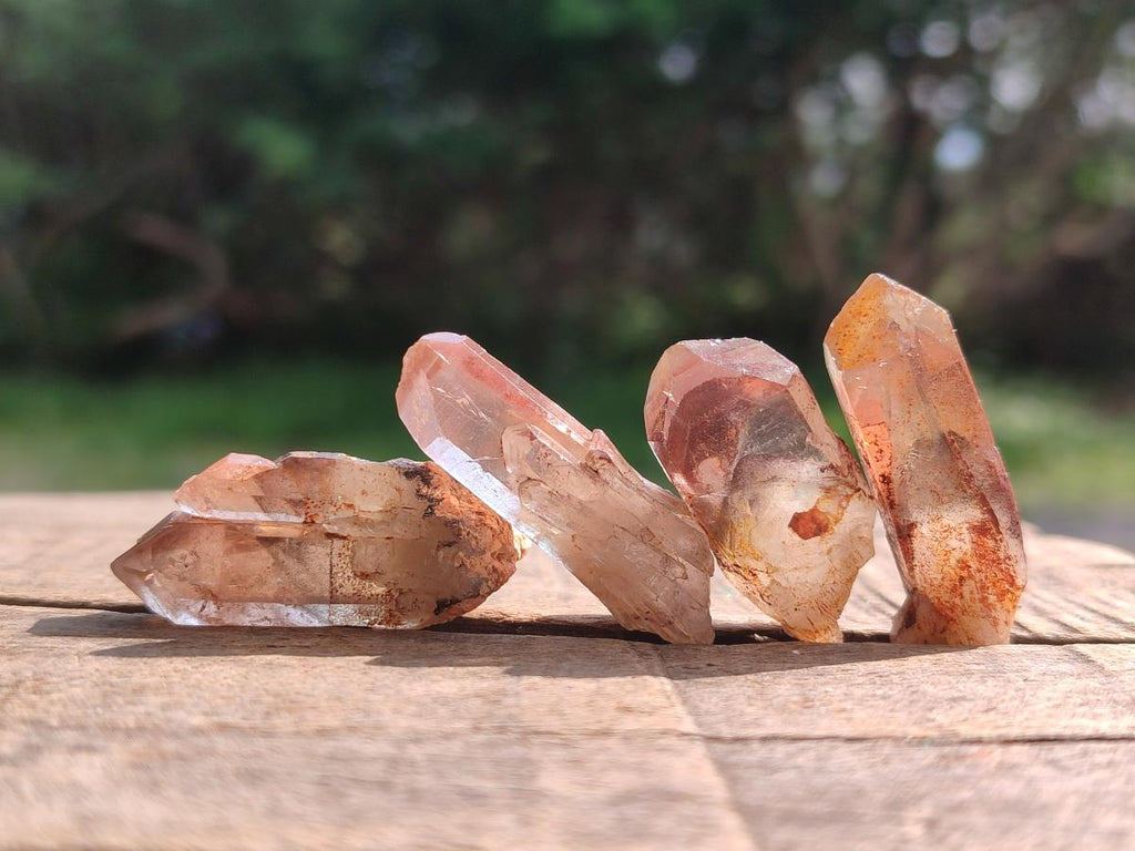 Natural Red Hematoid Quartz Crystals x 70 From Karoi, Zimbabwe - Toprock Gemstones and Minerals 