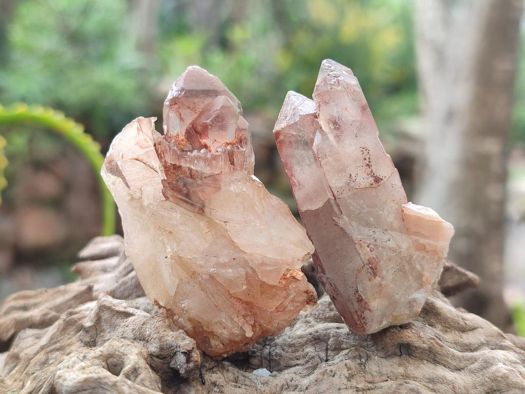 Natural Red Hematoid Quartz Crystals x 70 From Karoi, Zimbabwe - Toprock Gemstones and Minerals 