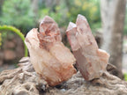 Natural Red Hematoid Quartz Crystals x 70 From Karoi, Zimbabwe - Toprock Gemstones and Minerals 