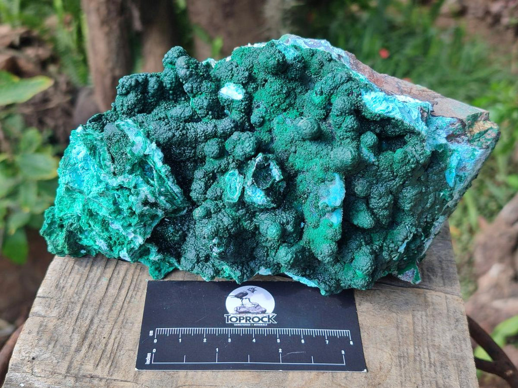 Natural Large Rare Malachite Pseudomorph Specimen with Associated Minerals x 1 From Kolwezi, Congo - Toprock Gemstones and Minerals 