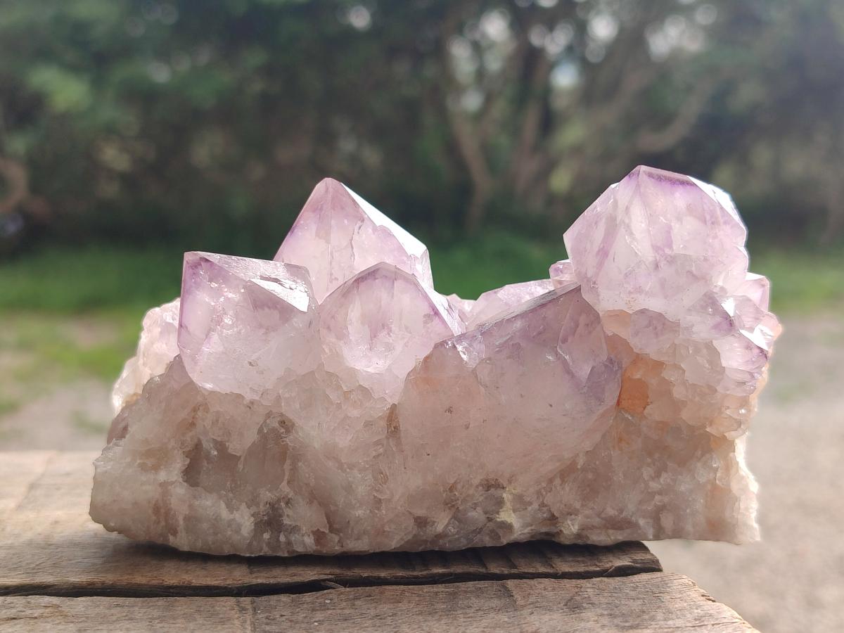 Natural Spirit Amethyst Clusters x 4 From Boekenhouthoek, South Africa - Toprock Gemstones and Minerals 