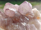Natural Spirit Amethyst Clusters x 4 From Boekenhouthoek, South Africa - Toprock Gemstones and Minerals 