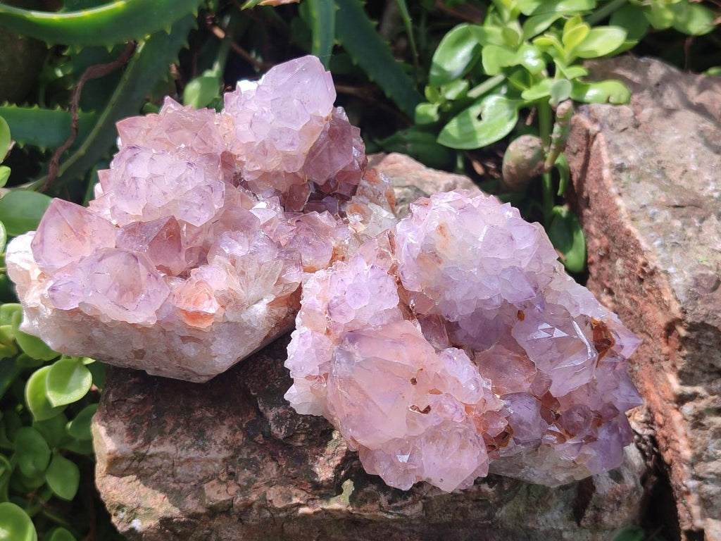 Natural Spirit Amethyst Clusters x 4 From Boekenhouthoek, South Africa - Toprock Gemstones and Minerals 