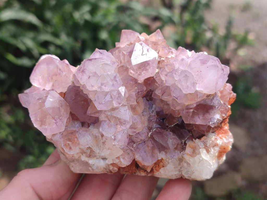 Natural Spirit Amethyst Clusters x 4 From Boekenhouthoek, South Africa - Toprock Gemstones and Minerals 