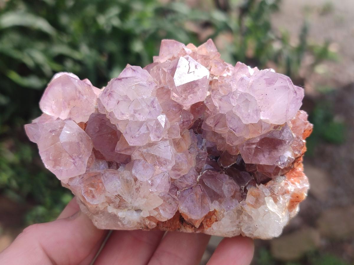 Natural Spirit Amethyst Clusters x 4 From Boekenhouthoek, South Africa - Toprock Gemstones and Minerals 