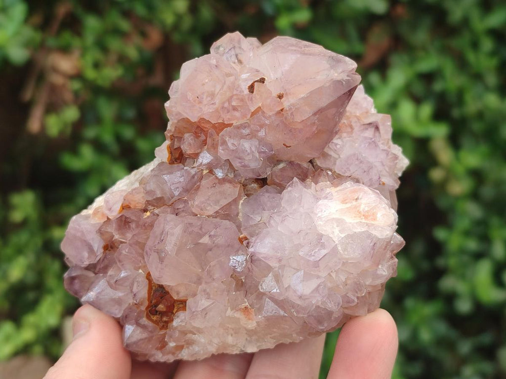 Natural Spirit Amethyst Clusters x 4 From Boekenhouthoek, South Africa - Toprock Gemstones and Minerals 