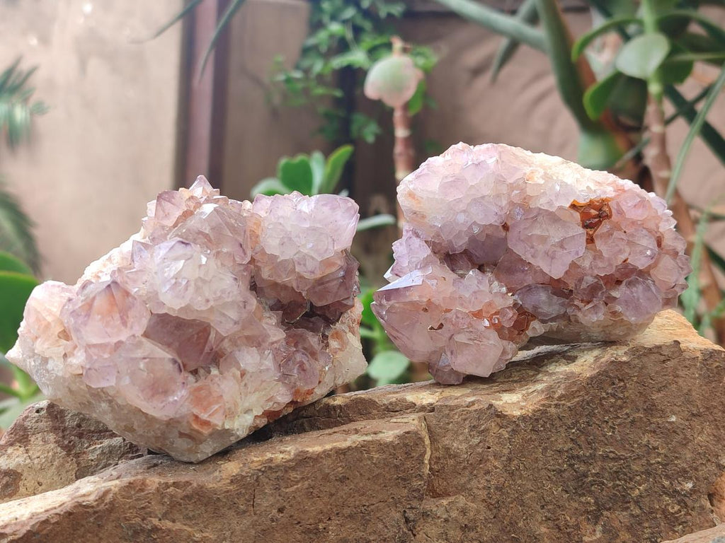Natural Spirit Amethyst Clusters x 4 From Boekenhouthoek, South Africa - Toprock Gemstones and Minerals 