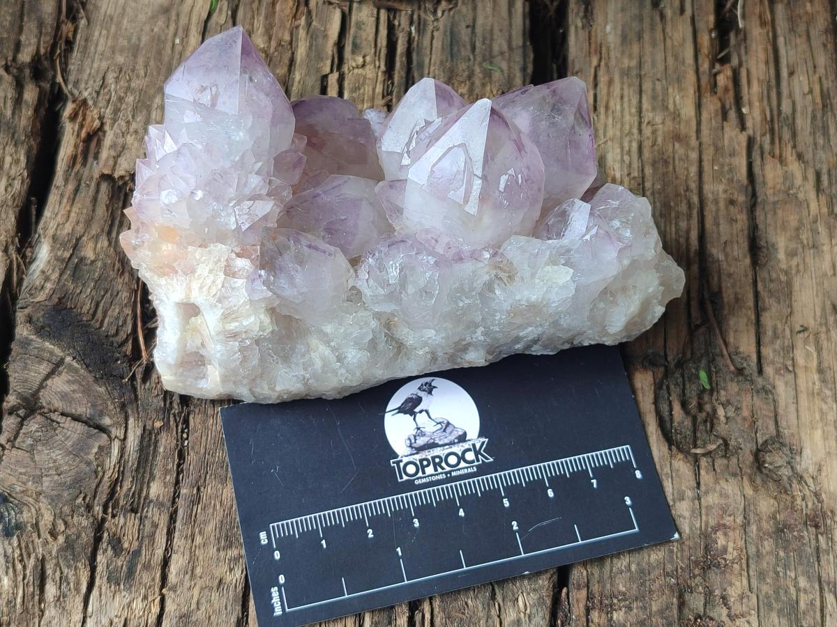 Natural Spirit Amethyst Clusters x 4 From Boekenhouthoek, South Africa - Toprock Gemstones and Minerals 