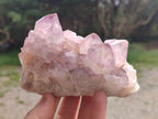Natural Spirit Amethyst Clusters x 4 From Boekenhouthoek, South Africa - Toprock Gemstones and Minerals 