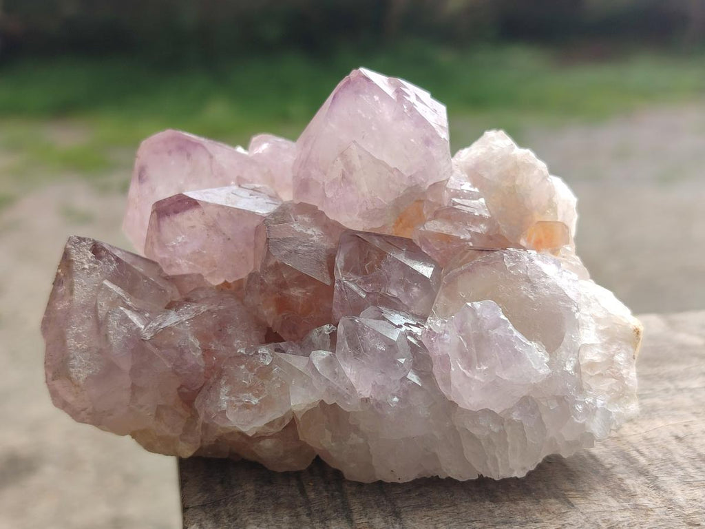 Natural Spirit Amethyst Clusters x 4 From Boekenhouthoek, South Africa - Toprock Gemstones and Minerals 