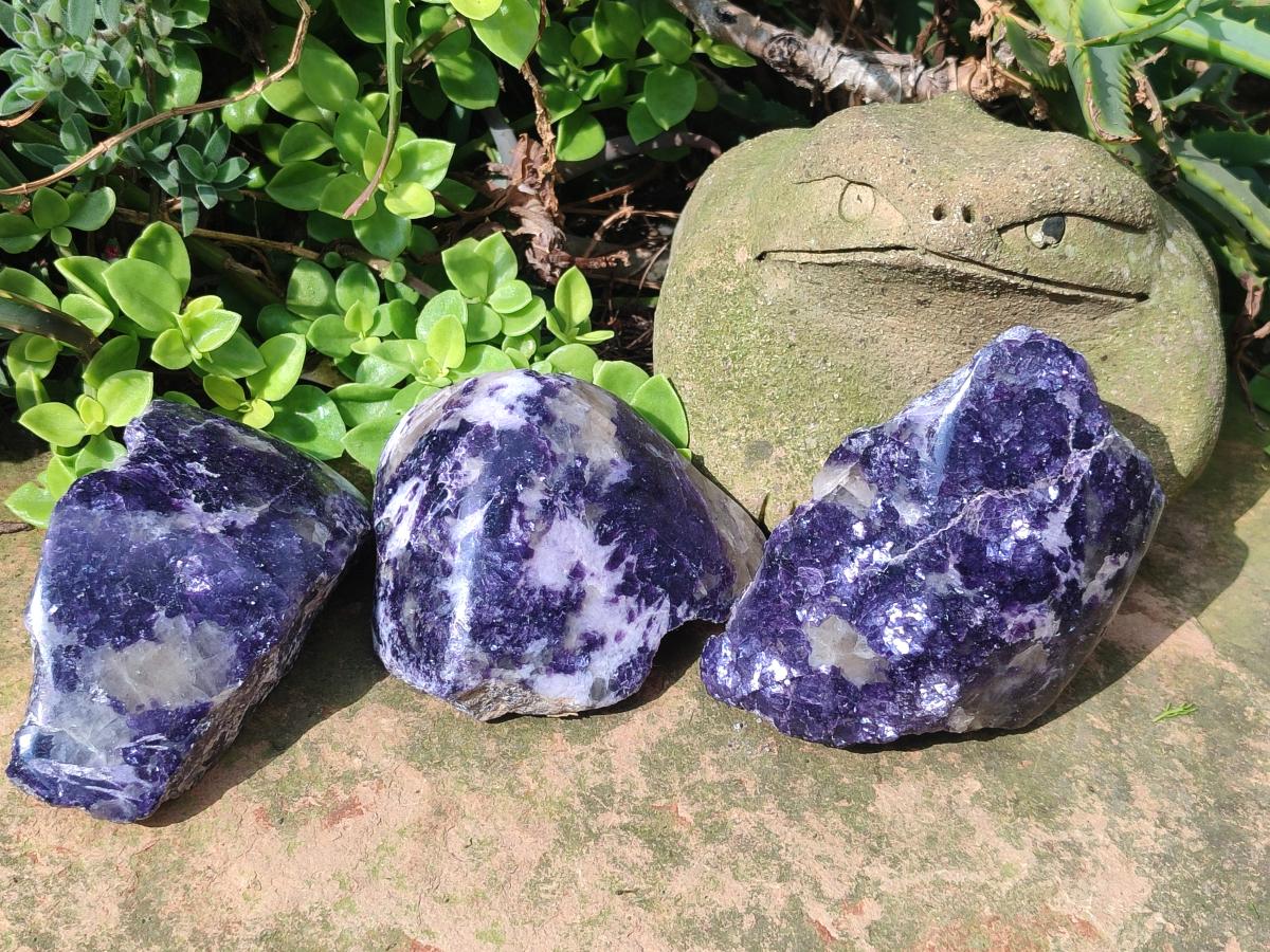 Polished One Side Lithium Silver Leaf Lepidolite Specimens x 6 From Zimbabwe - Toprock Gemstones and Minerals 