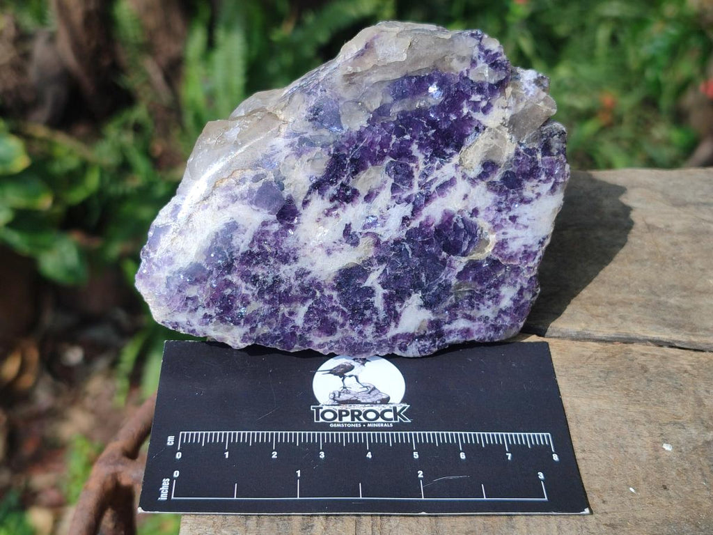 Polished One Side Lithium Silver Leaf Lepidolite Specimens x 6 From Zimbabwe - Toprock Gemstones and Minerals 