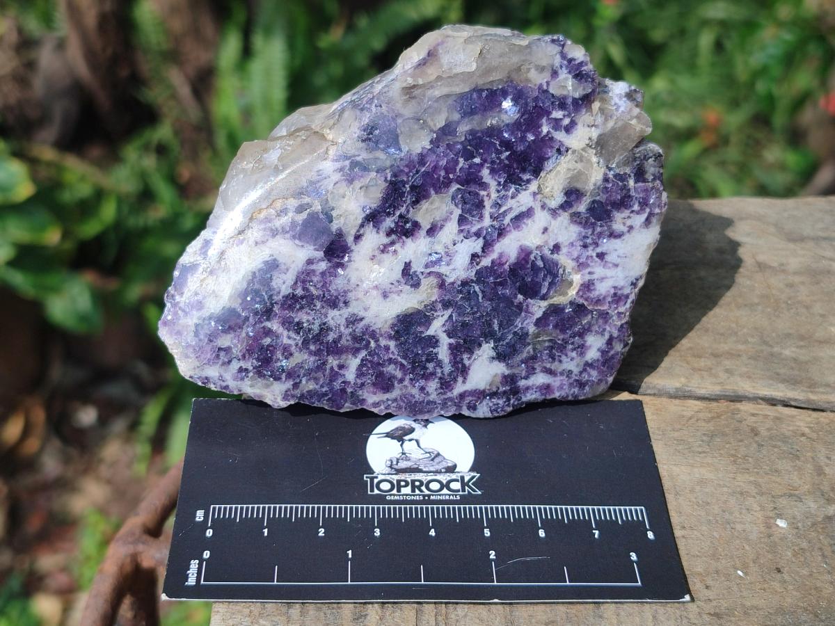 Polished One Side Lithium Silver Leaf Lepidolite Specimens x 6 From Zimbabwe - Toprock Gemstones and Minerals 