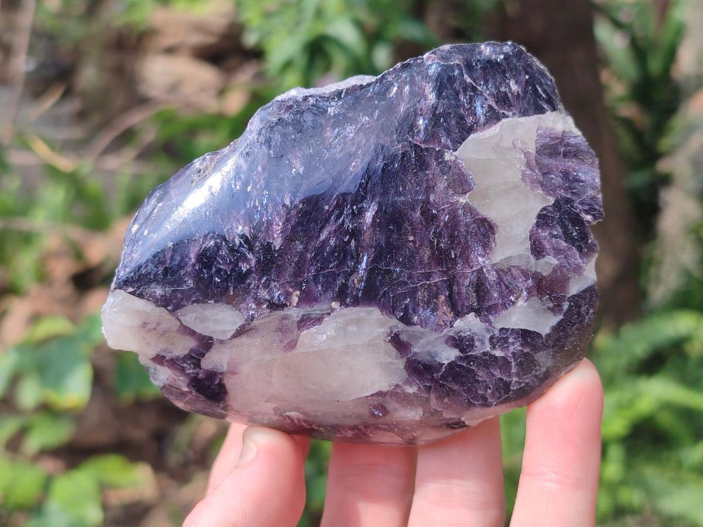 Polished One Side Lithium Silver Leaf Lepidolite Specimens x 6 From Zimbabwe - Toprock Gemstones and Minerals 