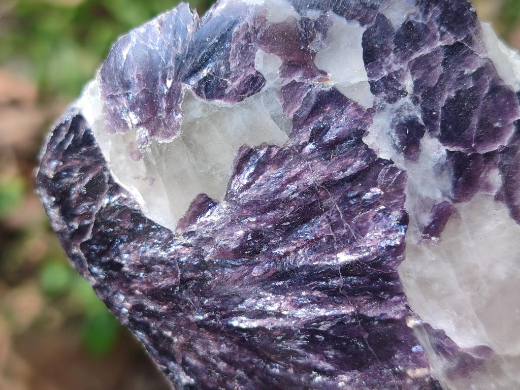 Polished One Side Lithium Silver Leaf Lepidolite Specimens x 6 From Zimbabwe - Toprock Gemstones and Minerals 