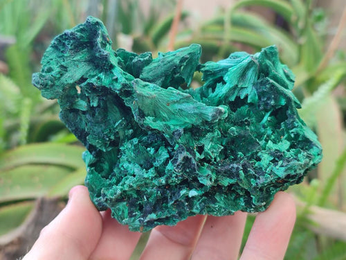 Natural Silky Malachite Specimens x 4 From Kasompe, Congo - Toprock Gemstones and Minerals 
