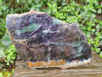 Polished XL Watermelon Fluorite Slice with Natural Edging x 1 From Uis, Namibia - Toprock Gemstones and Minerals 