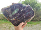 Polished XL Watermelon Fluorite Slice with Natural Edging x 1 From Uis, Namibia - Toprock Gemstones and Minerals 
