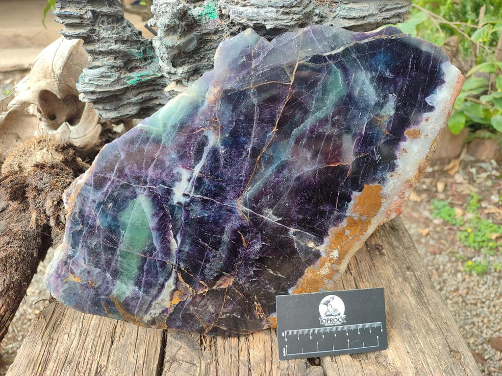 Polished XL Watermelon Fluorite Slice with Natural Edging x 1 From Uis, Namibia - Toprock Gemstones and Minerals 
