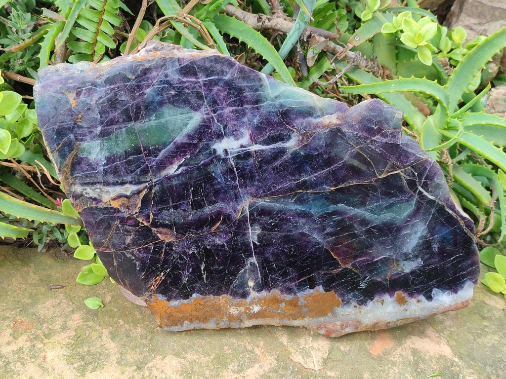 Polished XL Watermelon Fluorite Slice with Natural Edging x 1 From Uis, Namibia - Toprock Gemstones and Minerals 