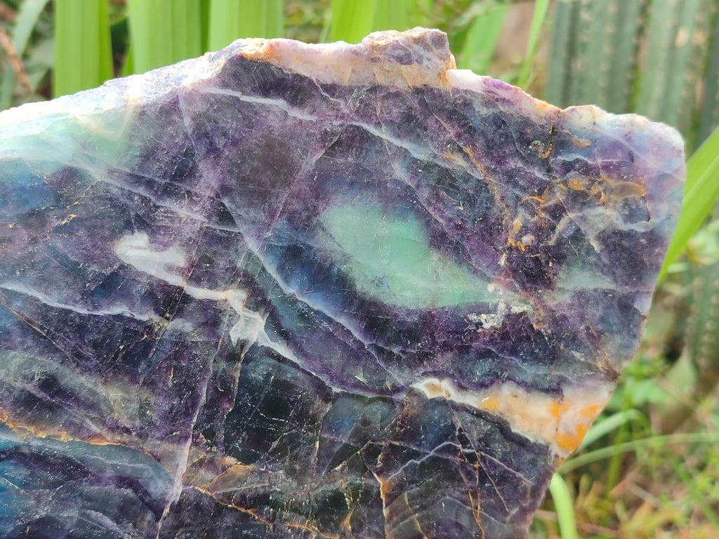 Polished XL Watermelon Fluorite Slice with Natural Edging x 1 From Uis, Namibia - Toprock Gemstones and Minerals 