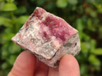 Natural Small Spherocobaltite Specimens x 35 From Mashamba West Mine, Congo - Toprock Gemstones and Minerals 