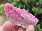 Natural Small Spherocobaltite Specimens x 35 From Mashamba West Mine, Congo - Toprock Gemstones and Minerals 